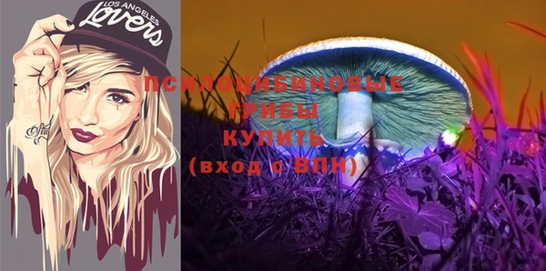 spice Володарск