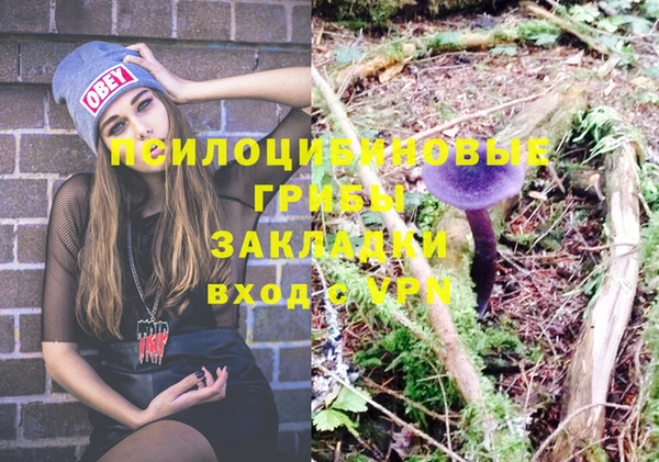 каннабис Волоколамск